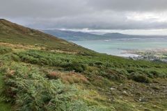 IMG_8630s