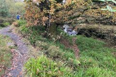 IMG_8739s