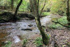 IMG_8677s